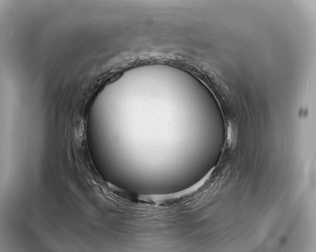 X0000098231492200805081209