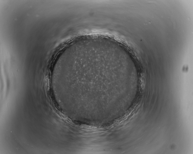 X0000098231493200805081209