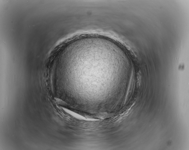 X0000098231494200805081209