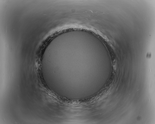 X0000098231495200805081209