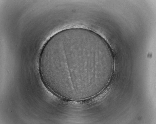 X0000098231500200805081209