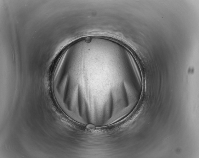 X0000098231501200805081209