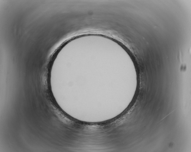 X0000098231502200805081210