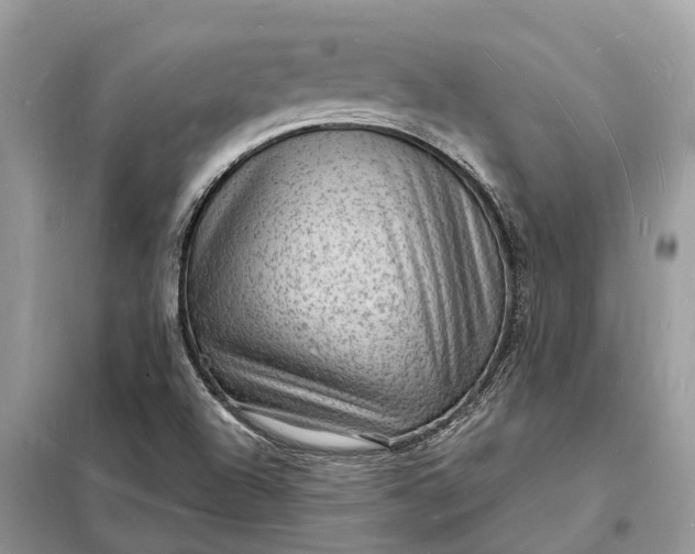 X0000098231504200805081210