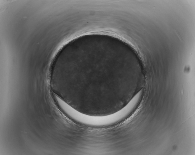 X0000098231506200805081210