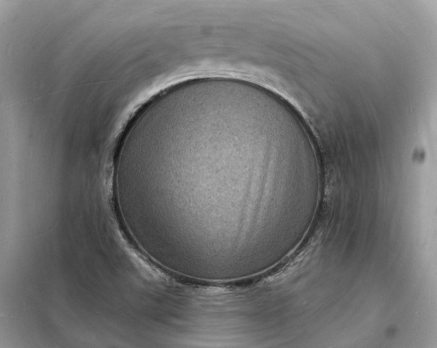 X0000098231507200805081210