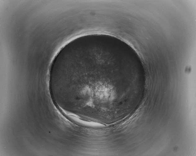 X0000098231508200805081210