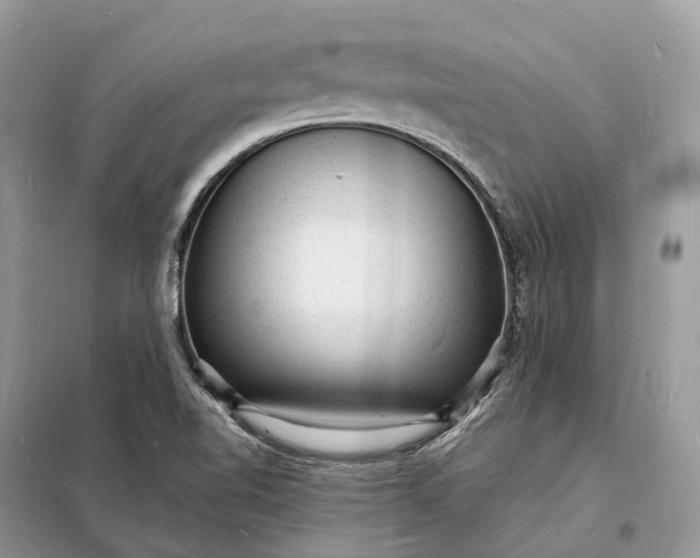 X0000098231510200805081210