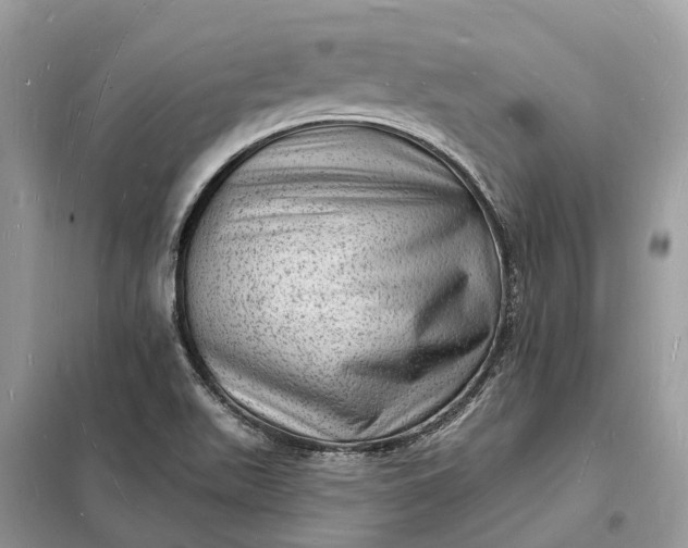 X0000098231511200805081210