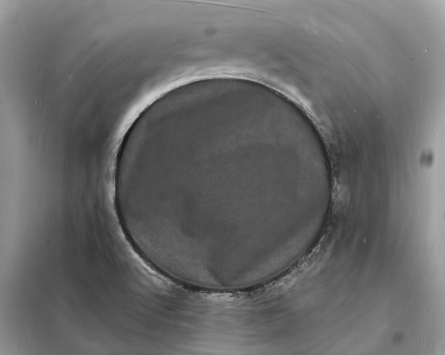 X0000098231512200805081210