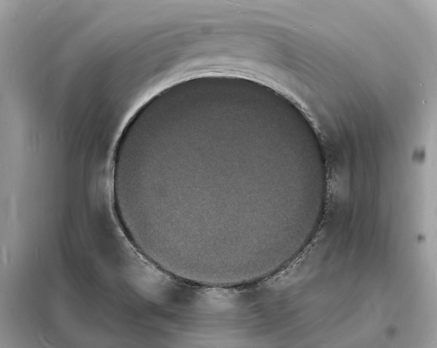 X0000098231514200805081210