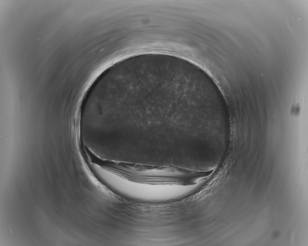 X0000098231515200805081210