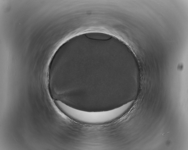 X0000098231519200805081210