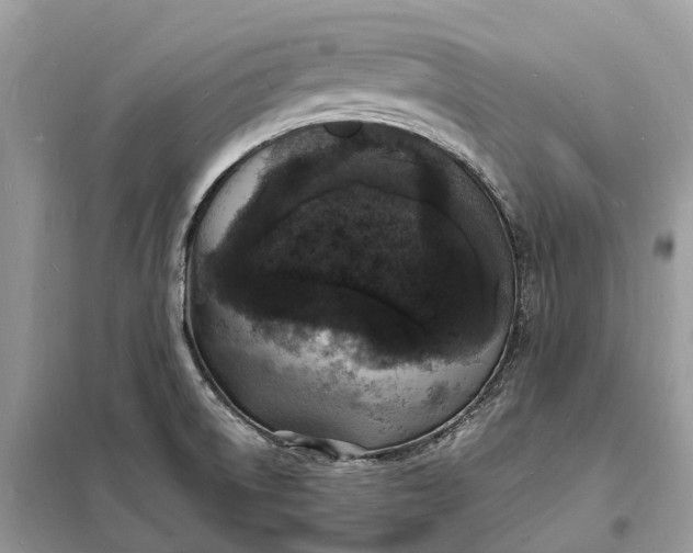 X0000098231522200805081210