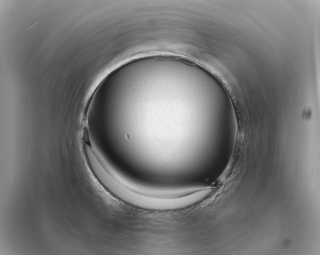 X0000098231524200805081210