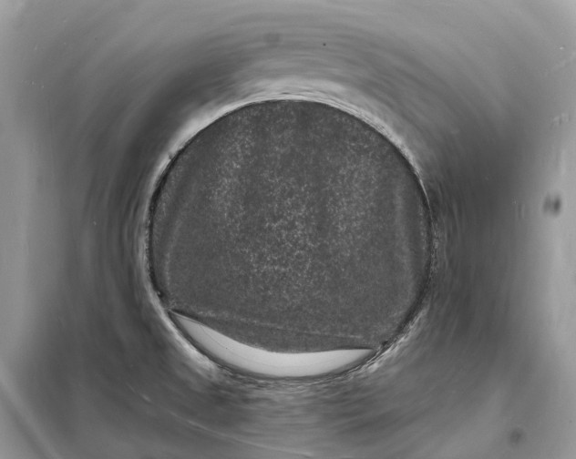 X0000098231525200805081210