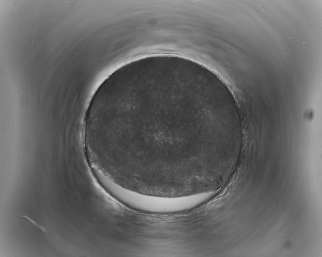 X0000098231527200805081210