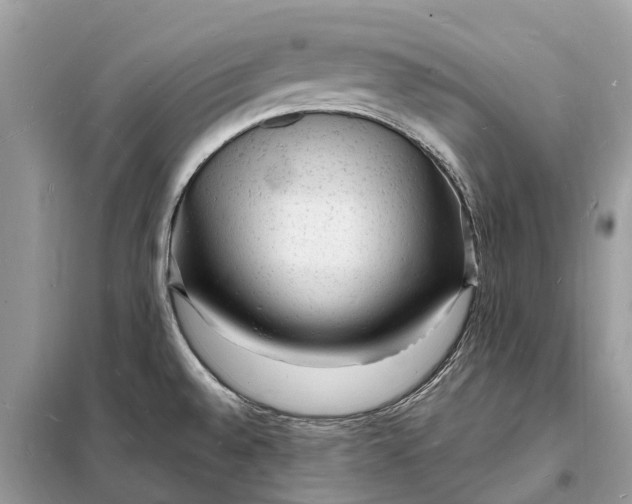 X0000098231528200805081210