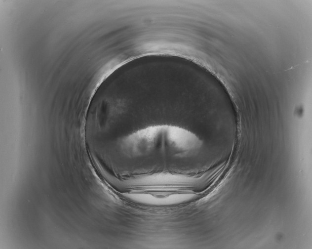 X0000098231529200805081210