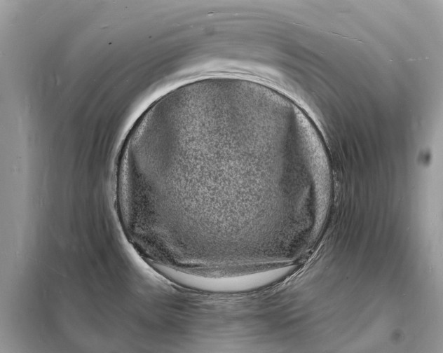 X0000098231531200805081210