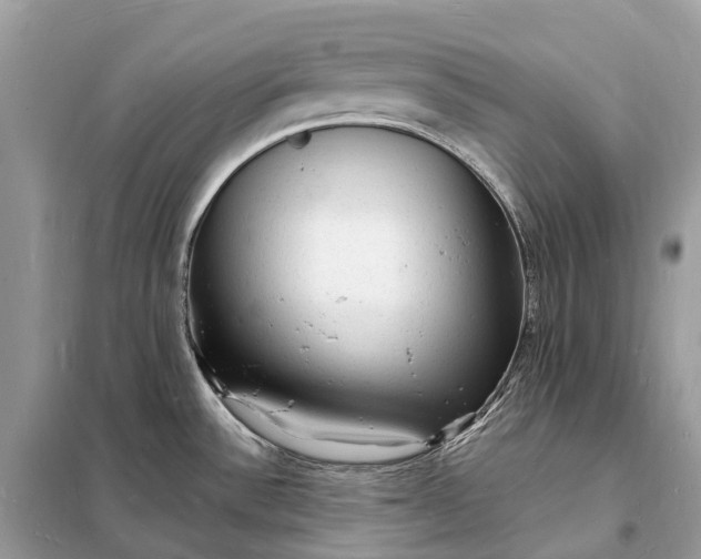 X0000098231532200805081210