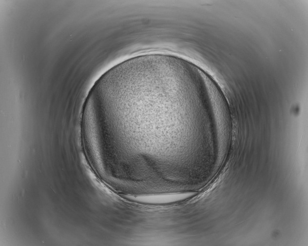 X0000098231534200805081210