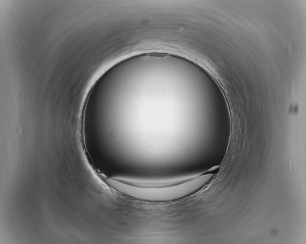 X0000098231536200805081210