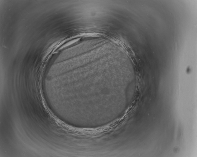 X0000098230001200805151352