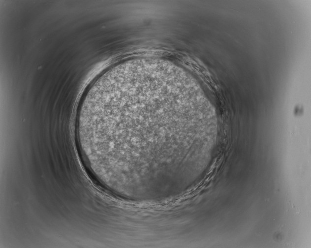 X0000098230003200805151352