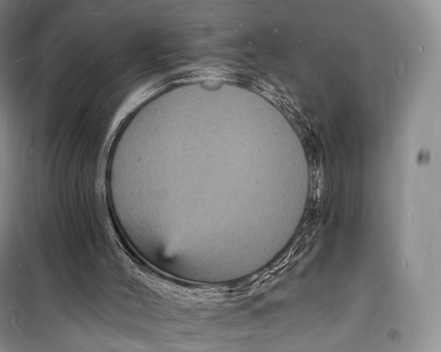 X0000098230004200805151352