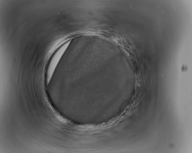 X0000098230005200805151352