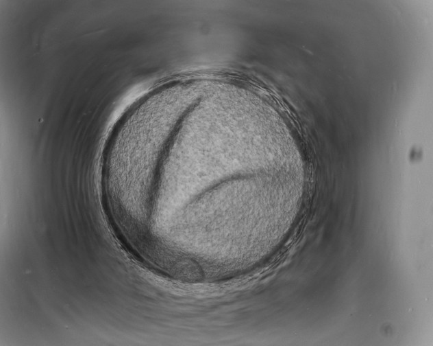 X0000098230006200805151352