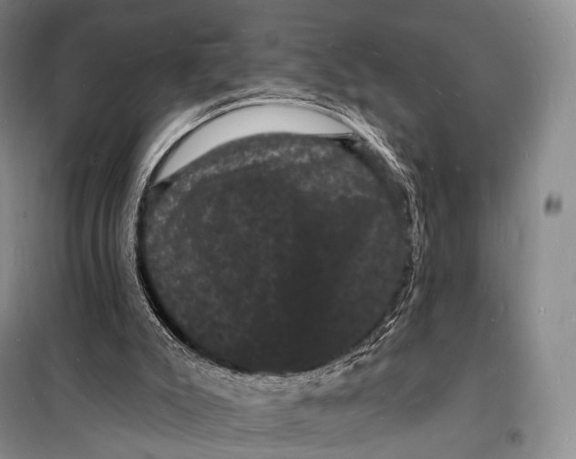 X0000098230007200805151352