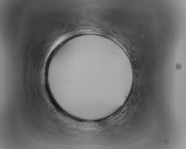 X0000098230008200805151352