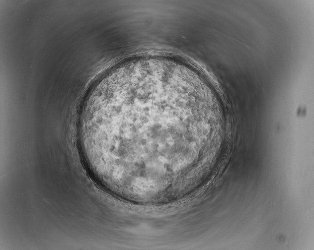 X0000098230010200805151352