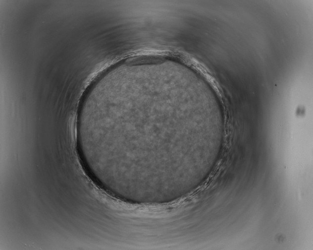 X0000098230011200805151352