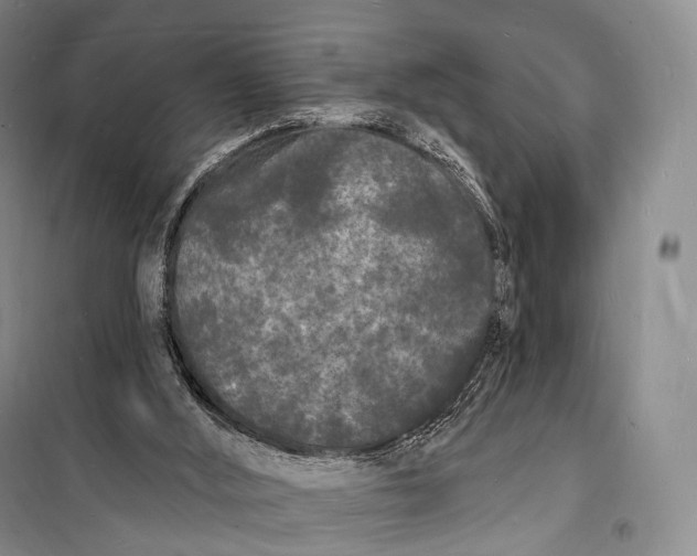 X0000098230012200805151352