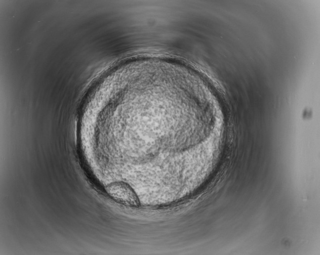 X0000098230014200805151352