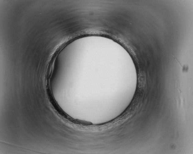 X0000098230015200805151352