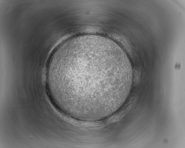 X0000098230016200805151352