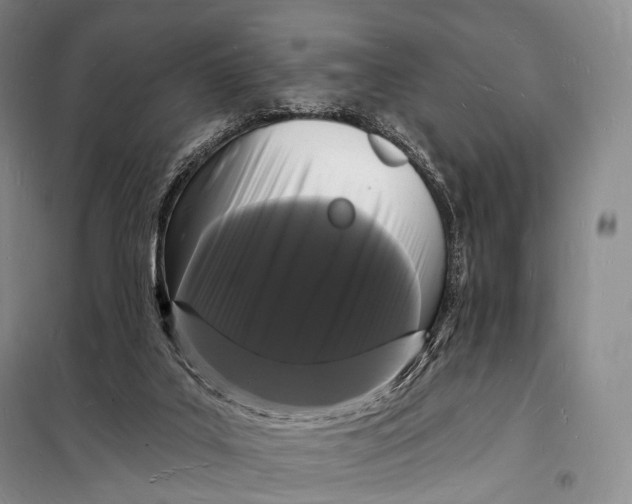 X0000098230019200805151352