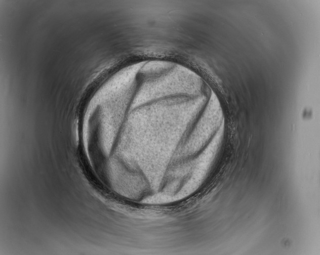 X0000098230020200805151352