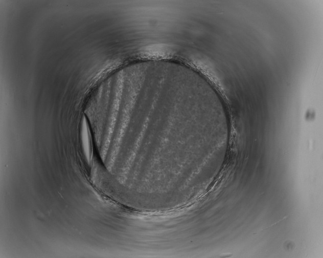 X0000098230021200805151352