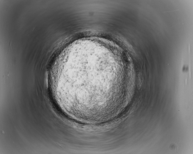 X0000098230022200805151352