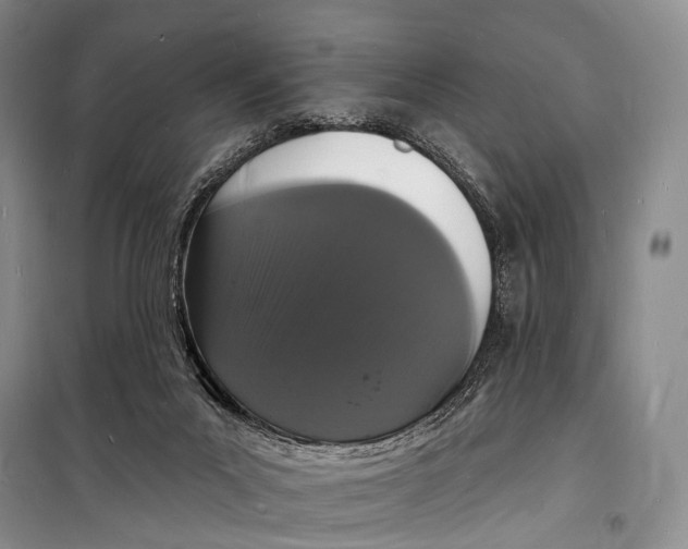 X0000098230023200805151352