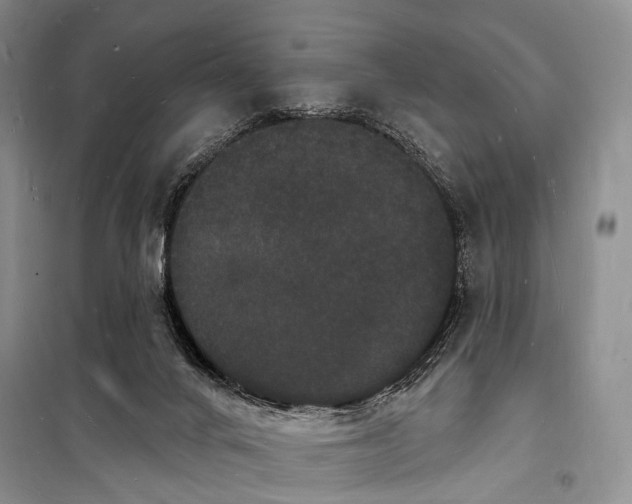 X0000098230024200805151352