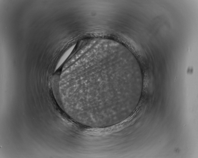 X0000098230025200805151352