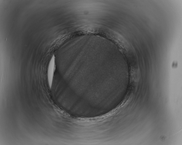 X0000098230029200805151352