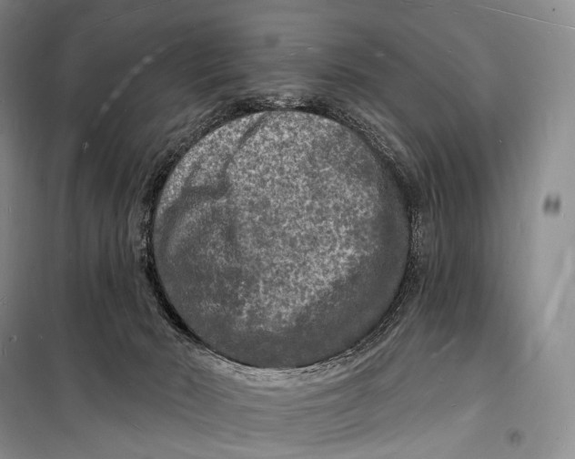 X0000098230030200805151352