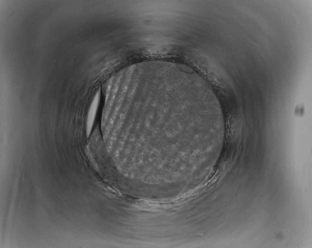 X0000098230033200805151351